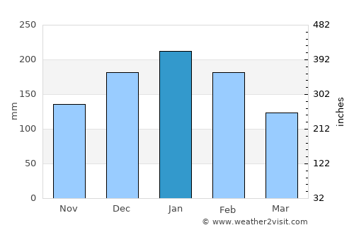 Tupã average rain in January