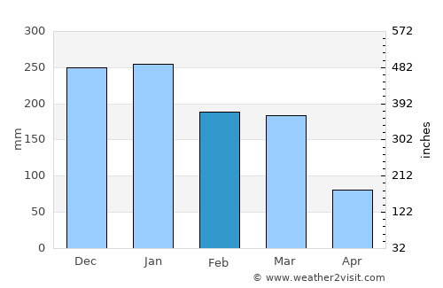 Tupaciguara average rain in February
