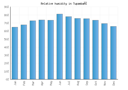 Tupambaé relative humidity averages