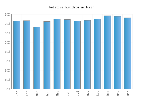 Turin relative humidity averages