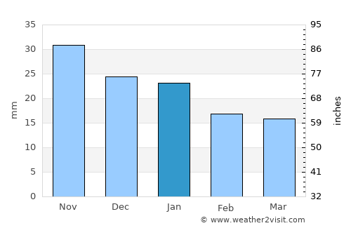 Turinsk average rain in January