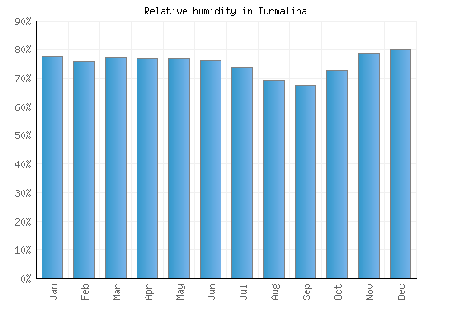 Turmalina relative humidity averages