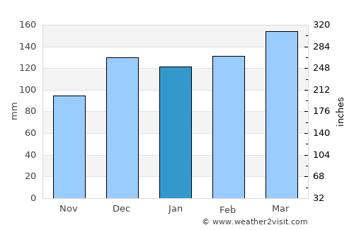 Tuskegee average rain in January