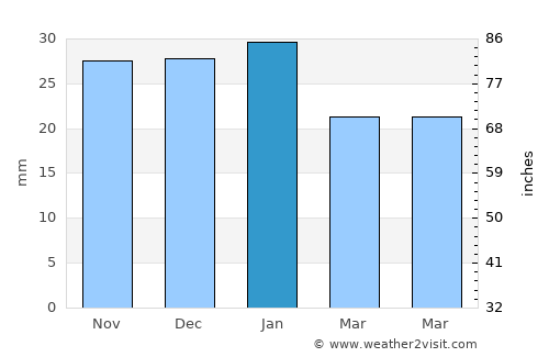 Twin Falls average rain in January