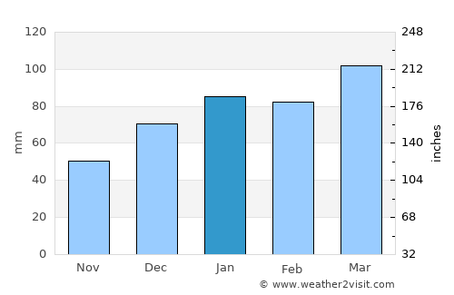 Tybee Island average rain in January
