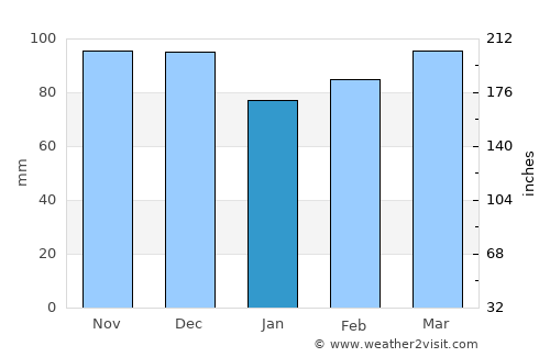Tyler average rain in January