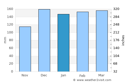 Tylertown average rain in January