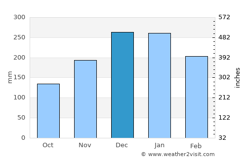 Uberlândia average rain in December
