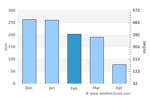 Uberlândia average rain in February
