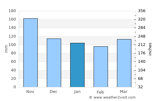 Udine average rain in January