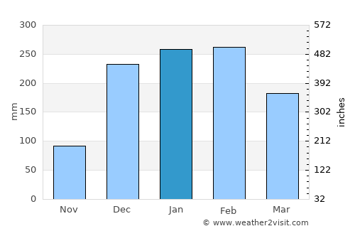 Ujudima average rain in January