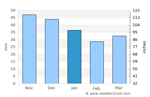 Unecha average rain in January