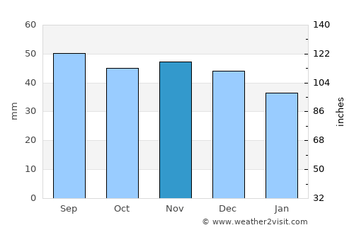 Unecha average rain in November