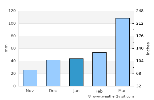 União dos Palmares average rain in January