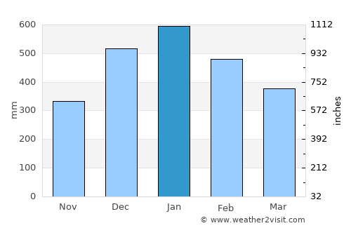 Unidad average rain in January