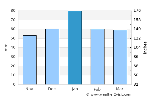 Union City average rain in January