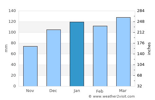 Valdosta average rain in January