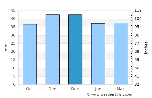 Vedea average rain in December