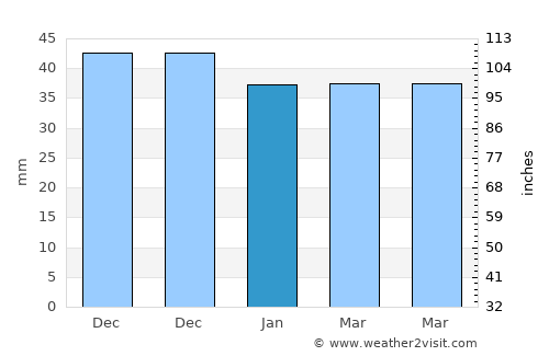 Vedea average rain in January
