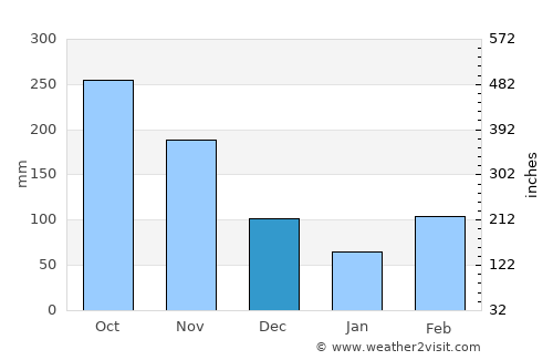 Venadillo average rain in December