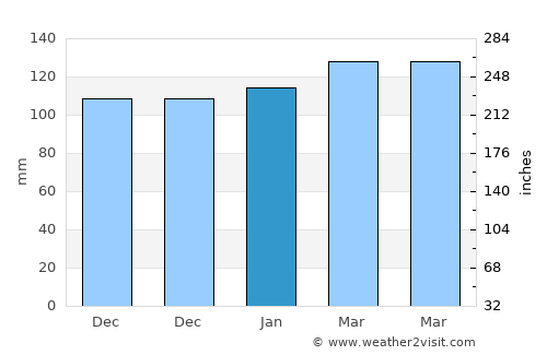 Venado Tuerto average rain in January