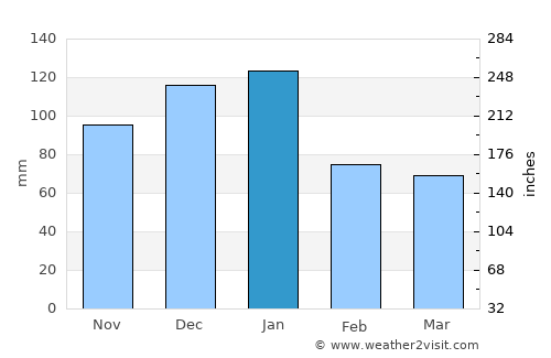 Vereeniging average rain in January