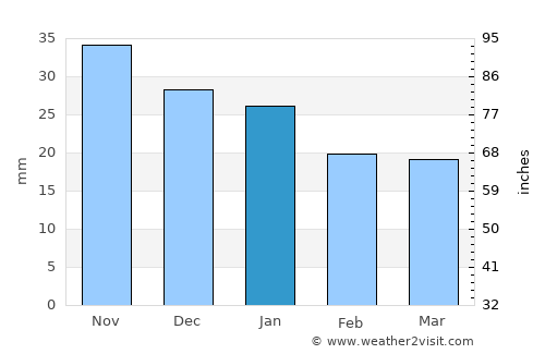 Verkhnyaya Tura average rain in January