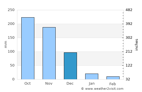 Vettavalam average rain in December
