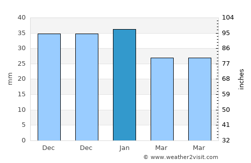 Vícar average rain in January