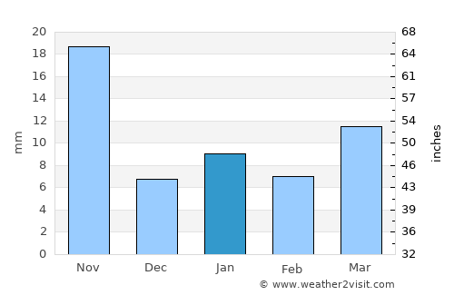 Vicente Guerrero average rain in January