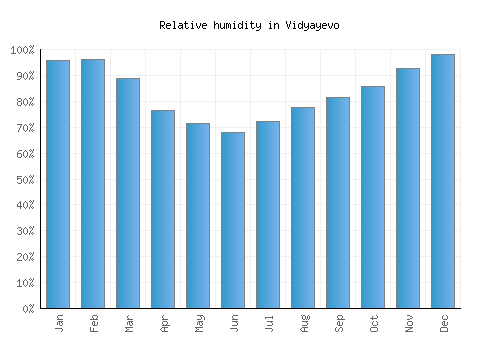 Vidyayevo relative humidity averages