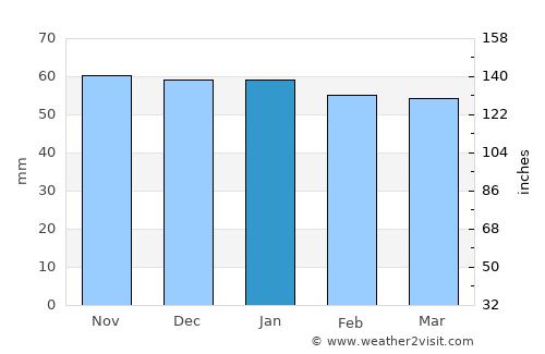 Vierzon average rain in January