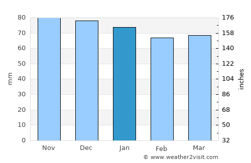 Villingen-Schwenningen average rain in January