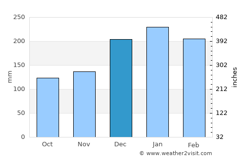 Vinhedo average rain in December
