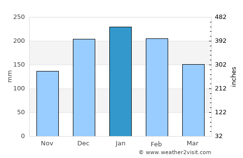 Vinhedo average rain in January