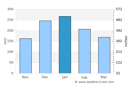 Viradouro average rain in January