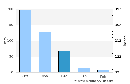 Vīraganūr average rain in December
