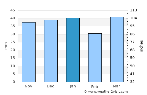 Virginia City average rain in January