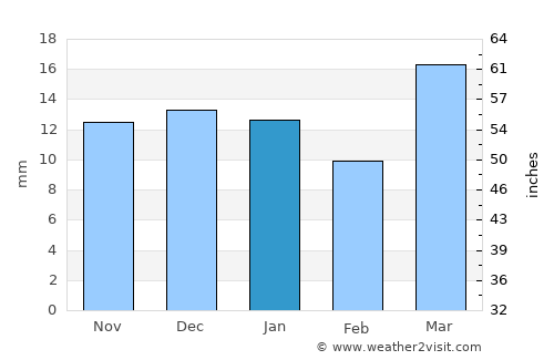 Vista Alegre average rain in January