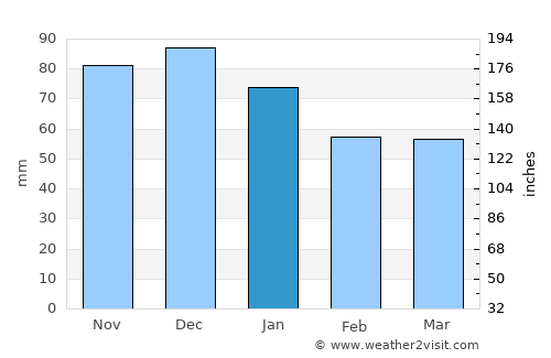 Vize average rain in January