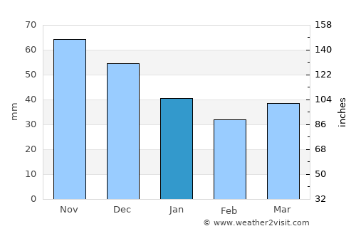 Volosovo average rain in January
