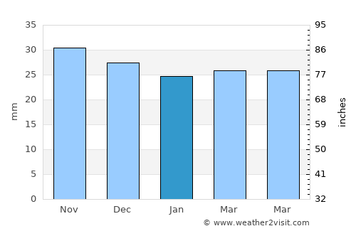 Vorona average rain in January