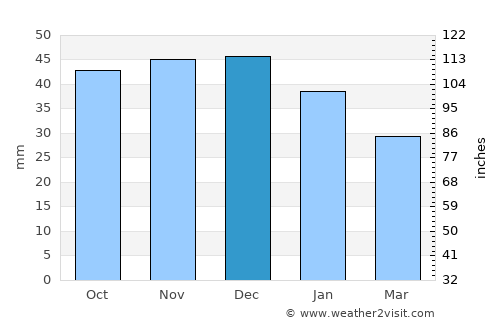 Voronezh average rain in December