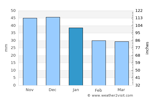 Voronezh average rain in January