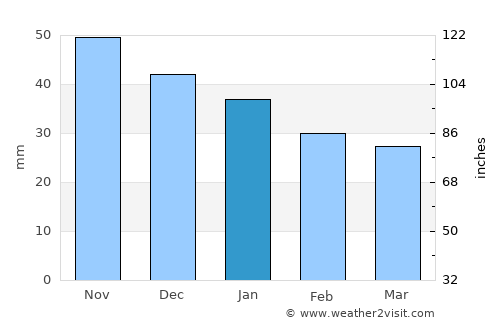 Vyazniki average rain in January