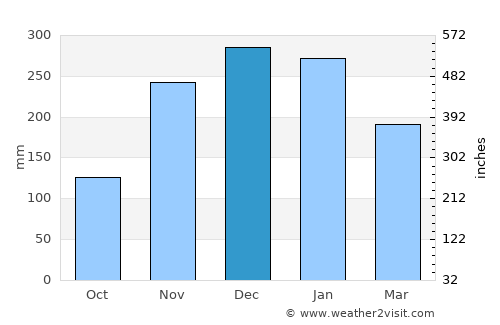 Waldport average rain in December