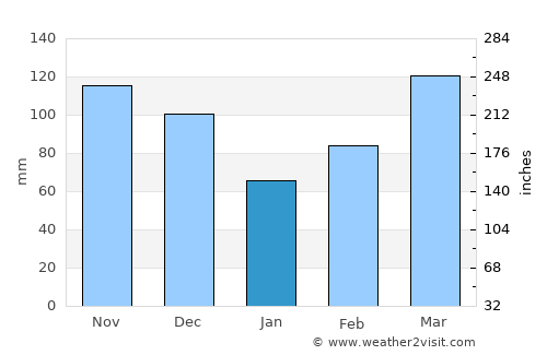 Waldron average rain in January