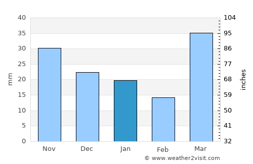 Walker average rain in January