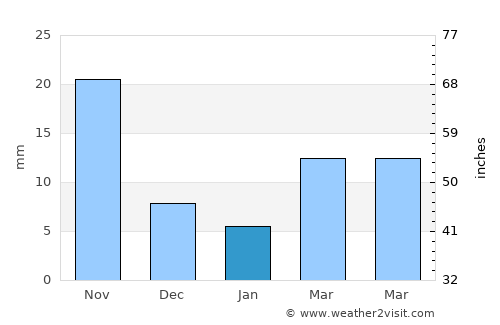 Warangal average rain in January
