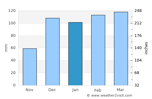 Warner Robins average rain in January